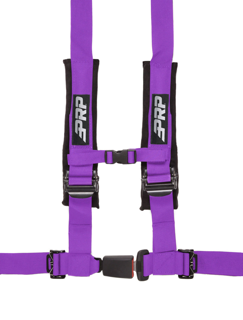 PRP 4.2 Harness- Purple